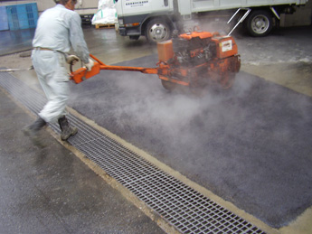 �y�ʂȃe���g�q��