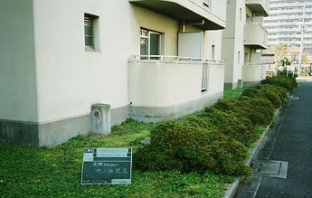 ���t�H�[���i���j